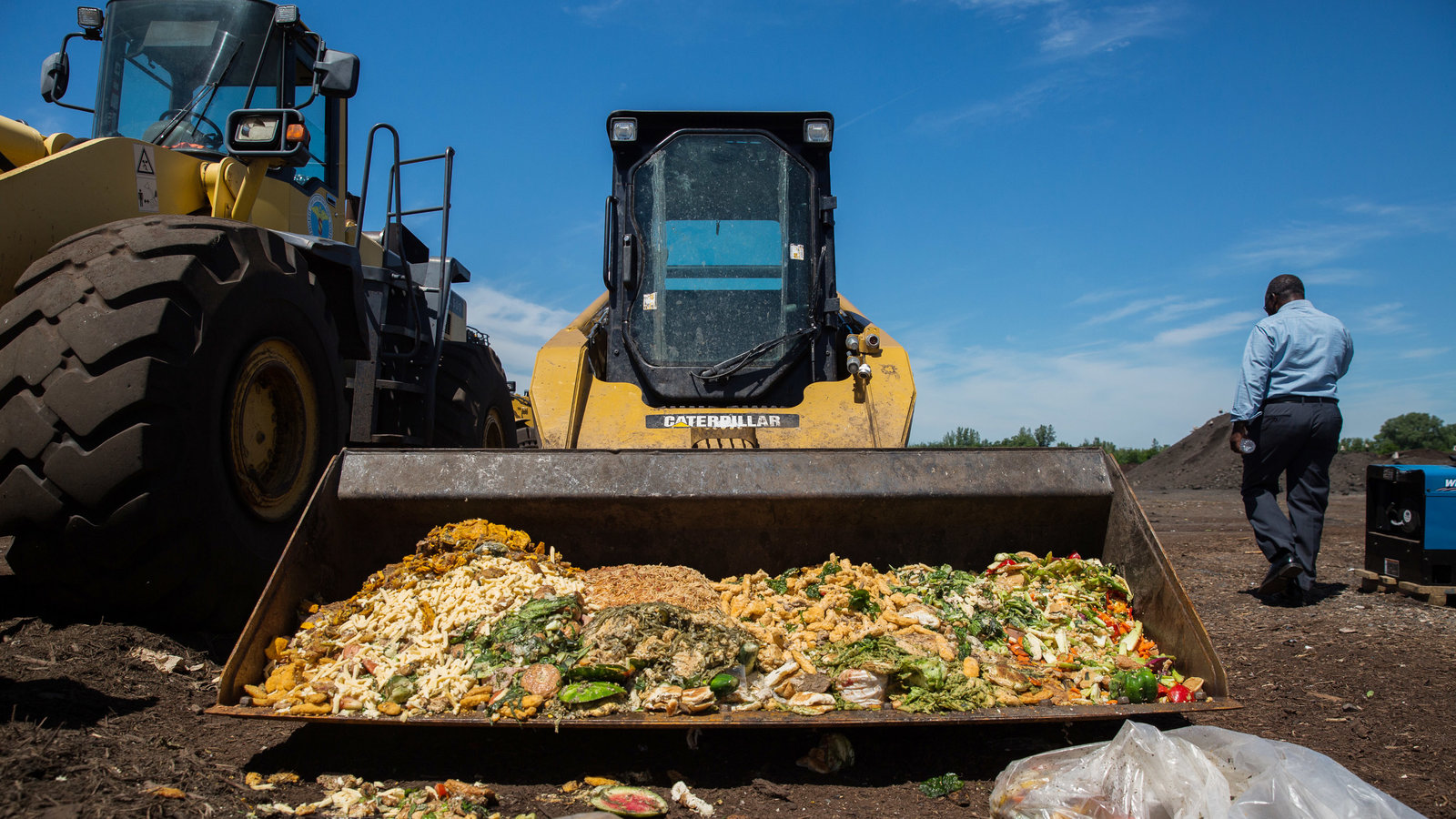Food Waste and its Impacts on the Environment