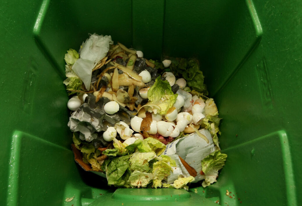 food waste treatment system in India
