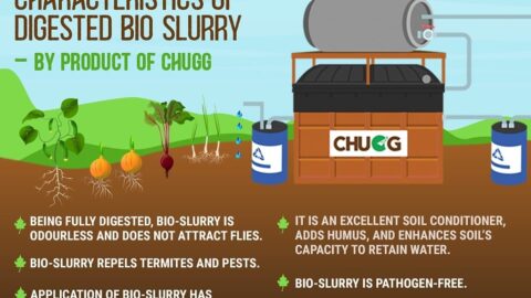 Is Bio-Slurry from a food waste treatment system a better fertilizer than manure?