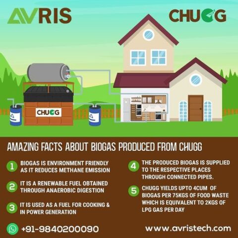 8 Amazing things to know about Biogas or renewable natural gas