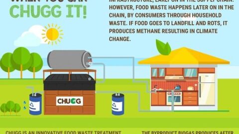 Simple tips for food waste management