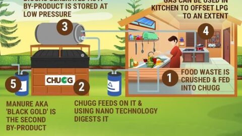 Why food waste management matter?