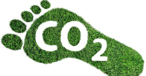 10 Steps to Lower Your Carbon Footprint
