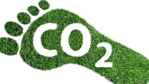10 Steps to Lower Your Carbon Footprint