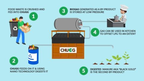 Biodigesters: A solution for Food waste problems